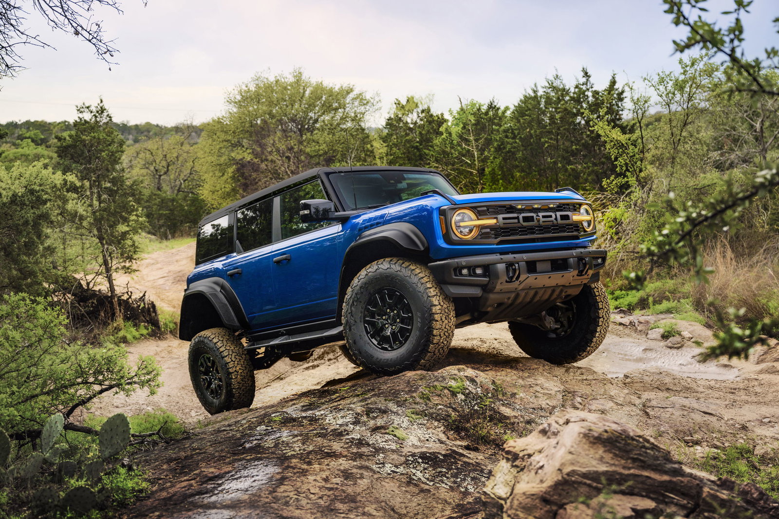 Ford Bronco Raptor